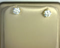 Silver Earring