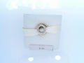 PANDORA CHARMS