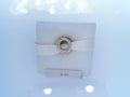 PANDORA CHARMS