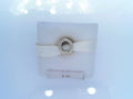 PANDORA CHARMS