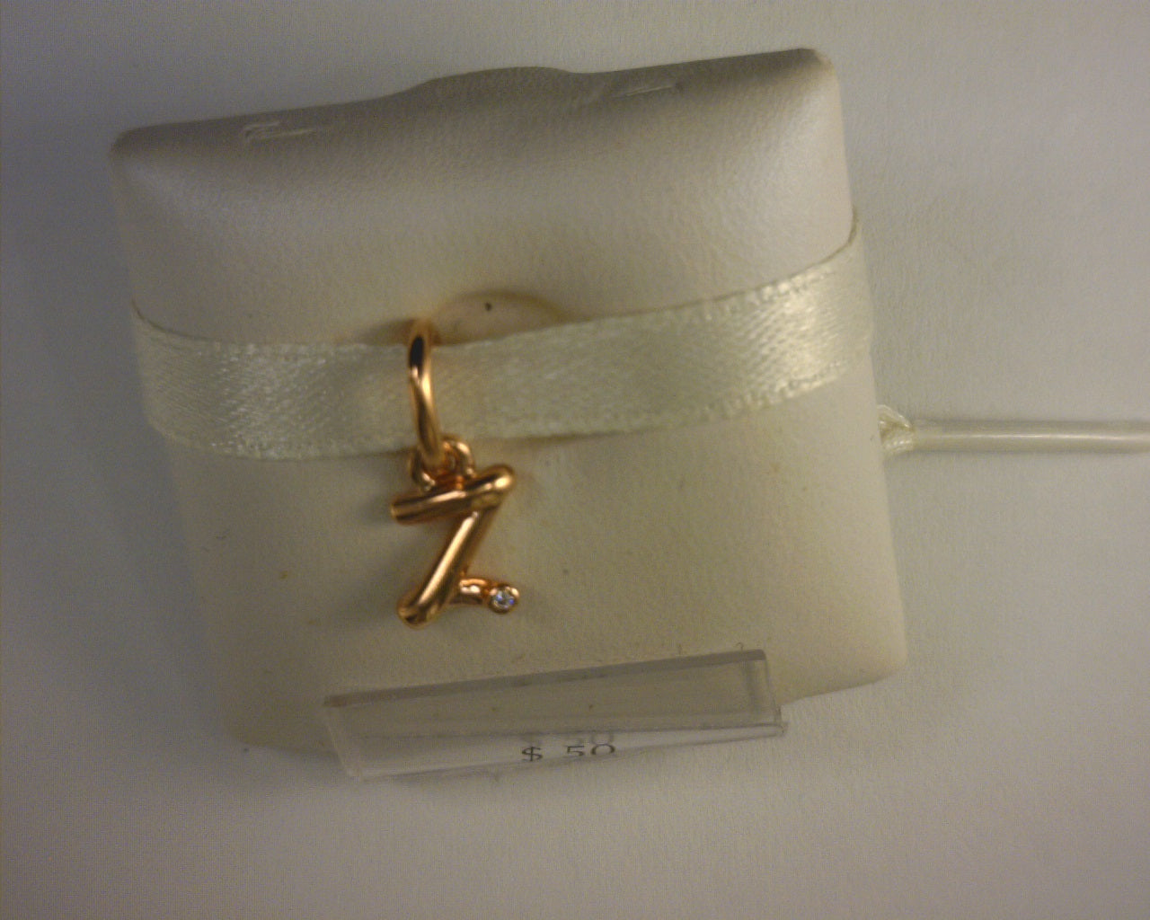 PANDORA CHARMS