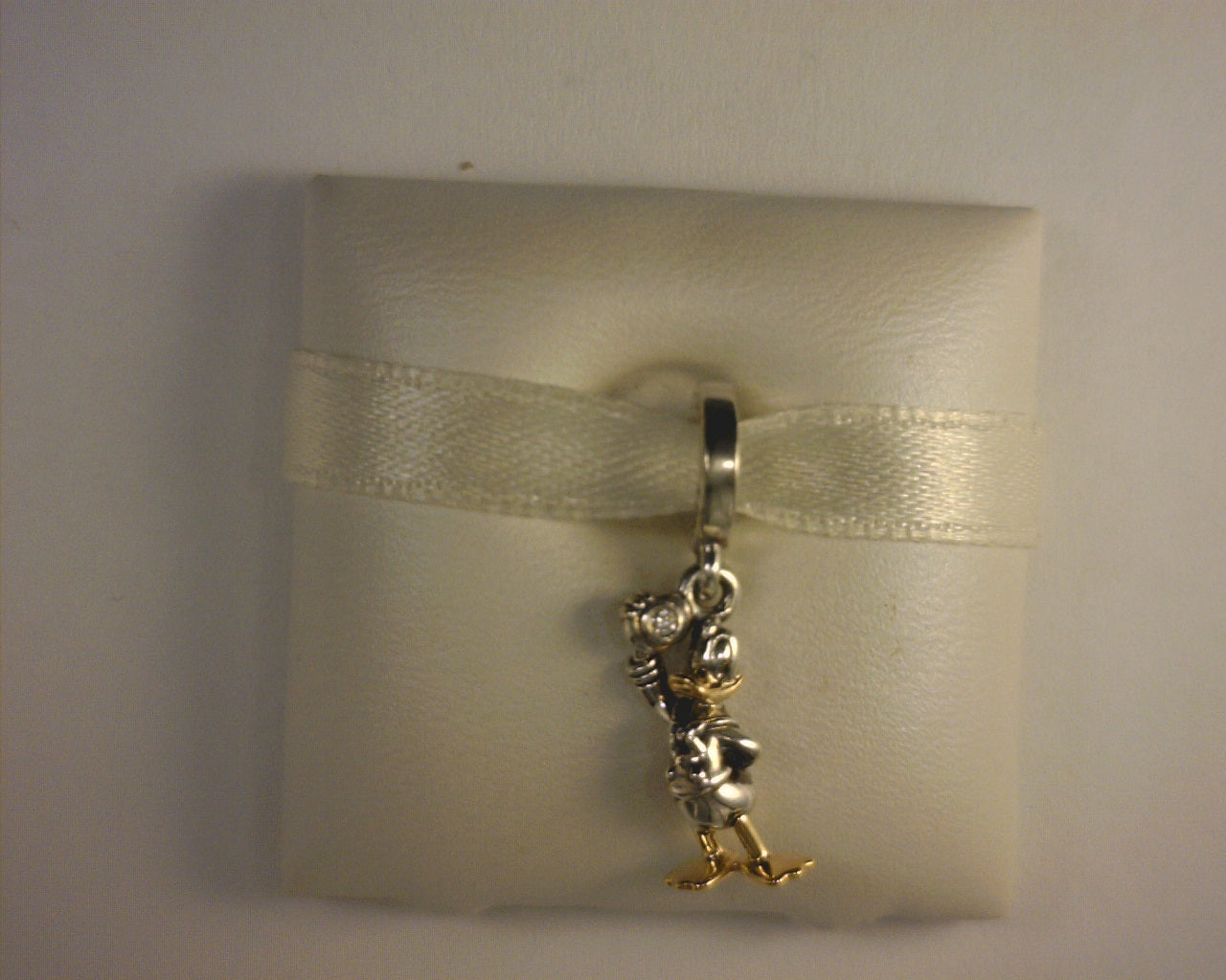PANDORA CHARMS