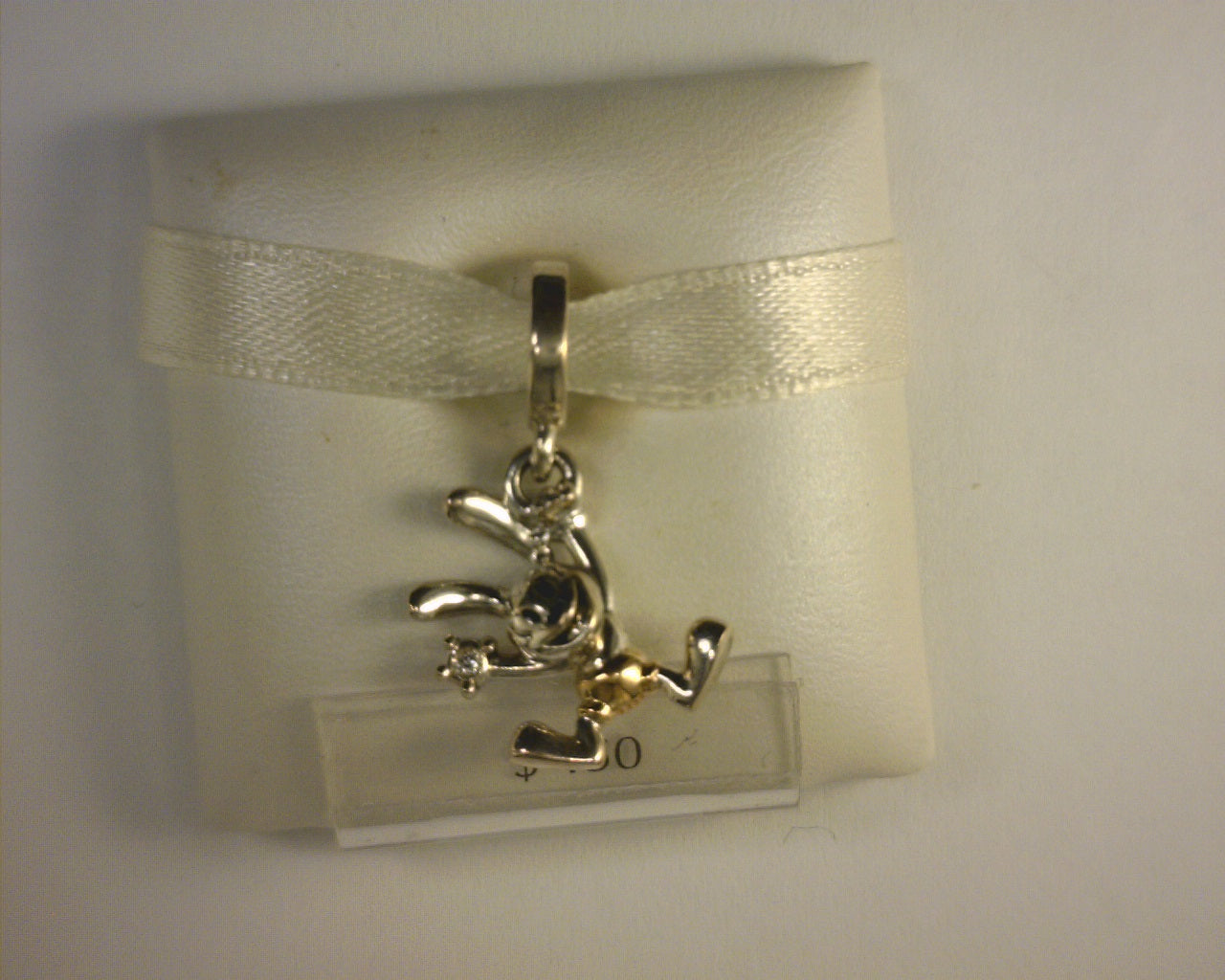 PANDORA CHARMS
