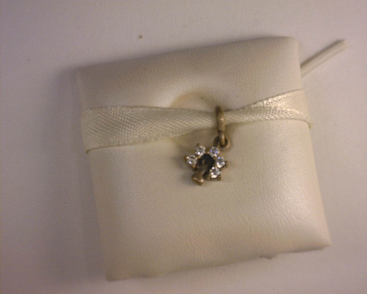 PANDORA CHARMS
