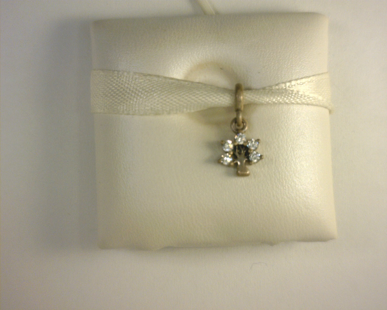 PANDORA CHARMS