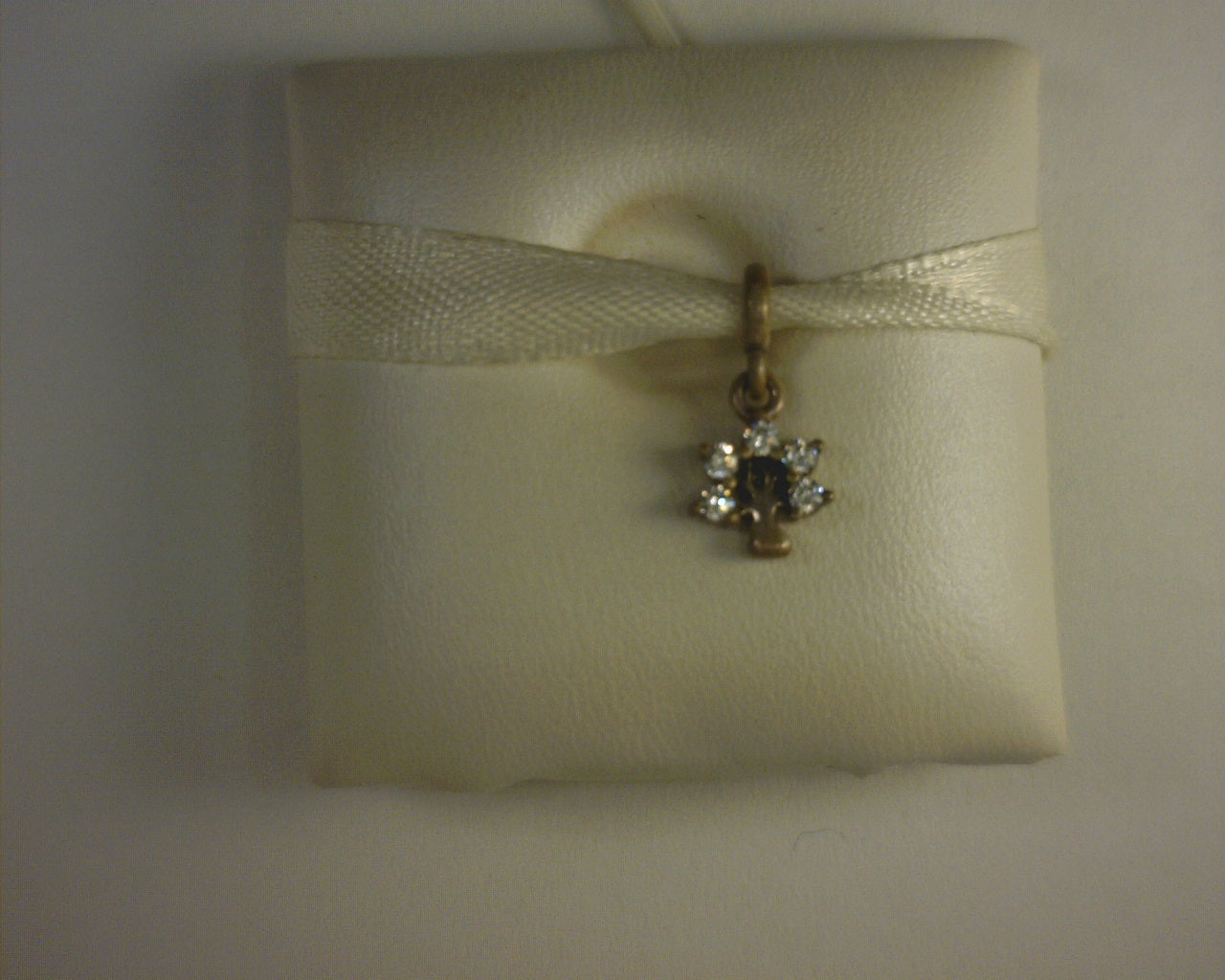 PANDORA CHARMS
