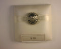 PANDORA CHARMS
