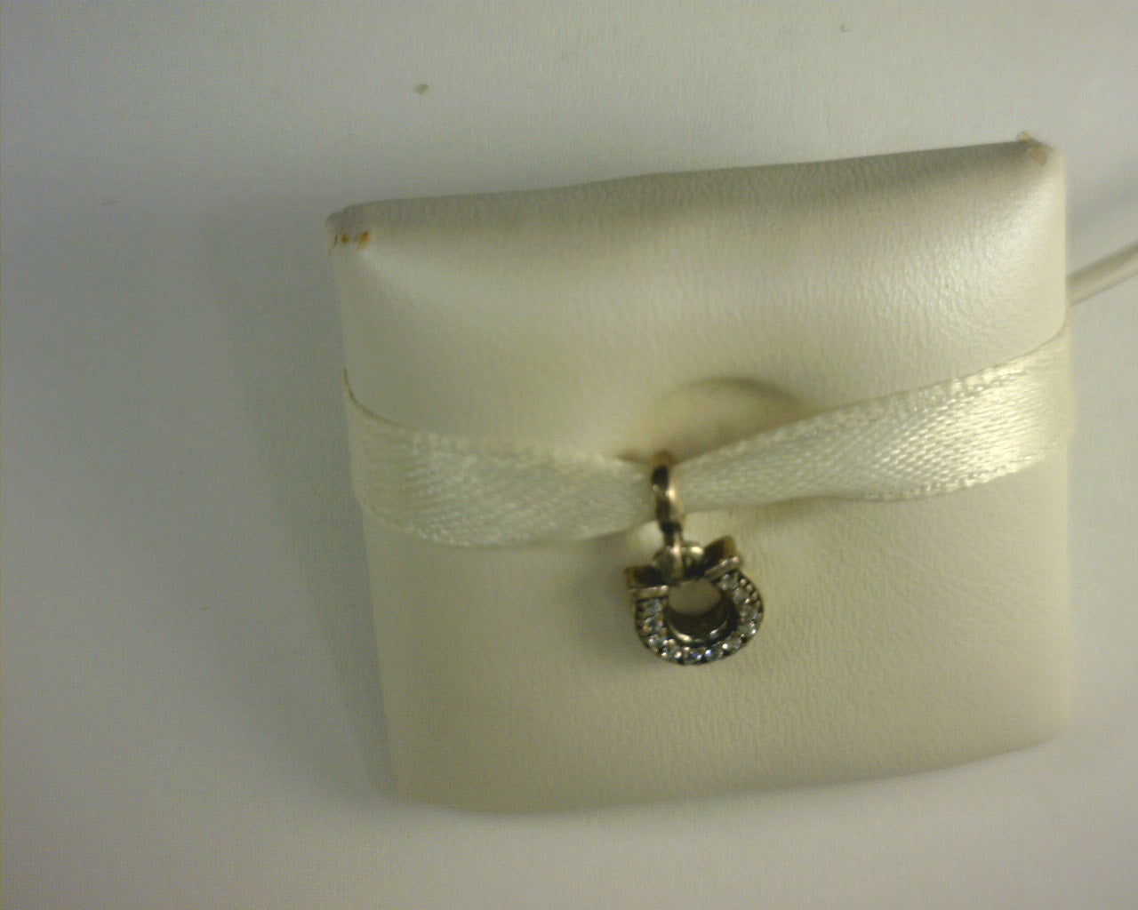 PANDORA CHARMS