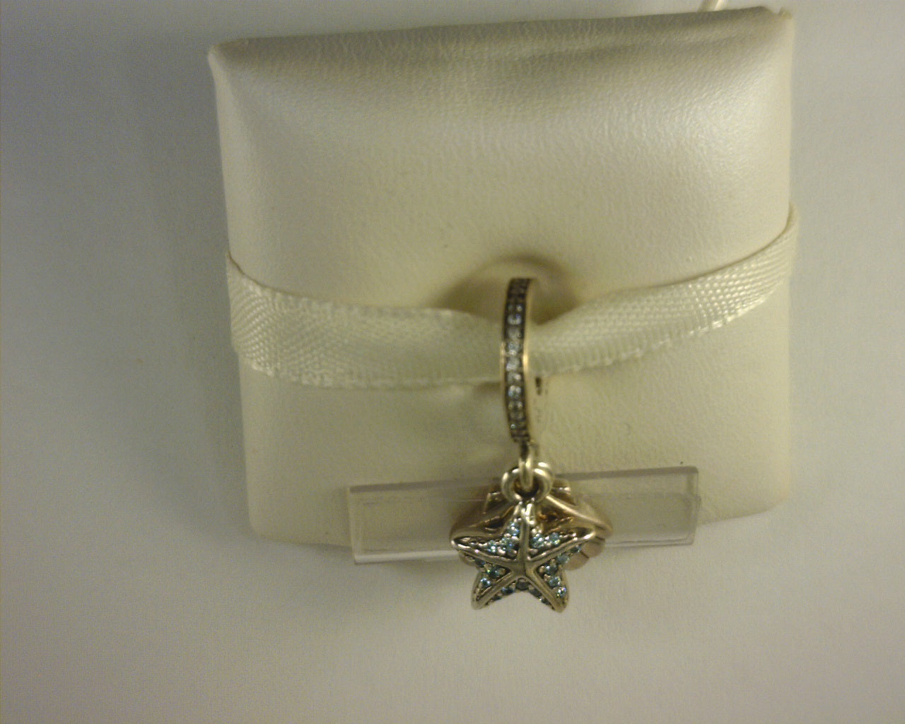PANDORA CHARMS