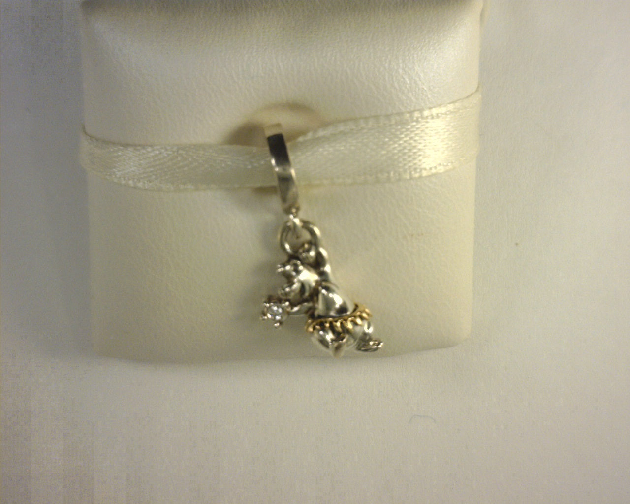 PANDORA CHARMS
