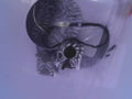 PANDORA CHARMS