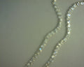 PANDORA NECKLACES/CHAINS