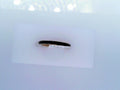 PANDORA RINGS