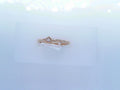 PANDORA RINGS