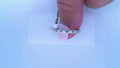 PANDORA RINGS