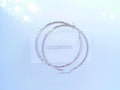 Hoop Earrings 14K White Gold