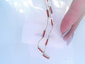 14 KARAT YELLOW GOLD CORAL BAR NECKLACE