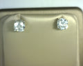 Silver Earring