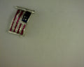 FLAG BROCH SAP .36 TCW RUB .90 TCW DIA .10 TCW