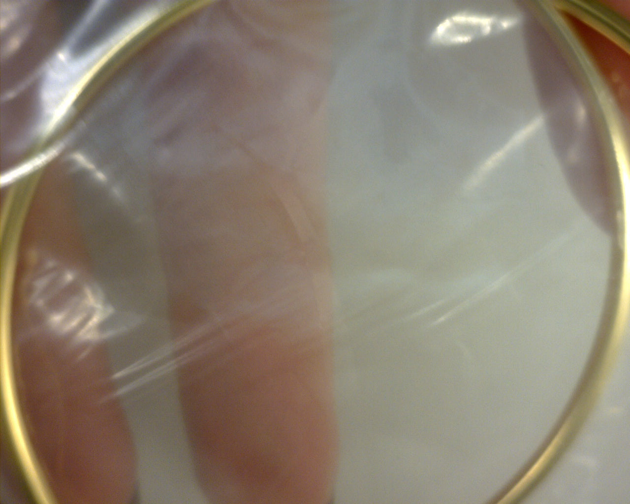 14 KARAT GOLD 2.5X7MM HOOPS
