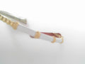 Gabriel NY Enamel - 14K Yellow Gold Bujukan Beads Split Bangle with White Enamel