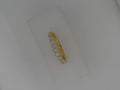 0.6 CTW Seraphic Ring - size 7