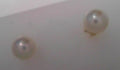 Pearl Stud Earrings 7mm 14K Yellow Gold Freshwater AA