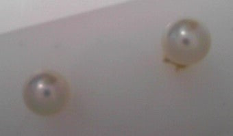 Pearl Stud Earrings 7mm 14K Yellow Gold Freshwater AA