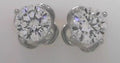 Silver Earring