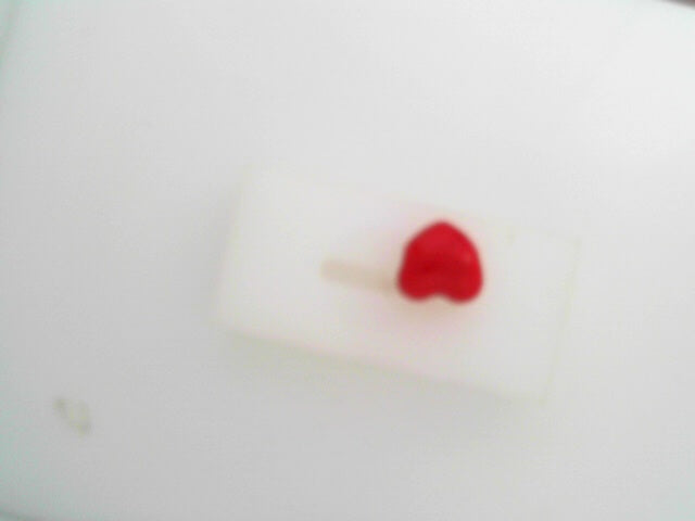 PANDORA CHARMS