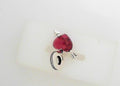 PANDORA CHARMS