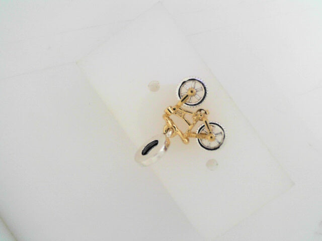 PANDORA CHARMS