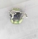 PANDORA CHARMS