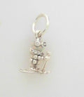 PANDORA CHARMS