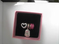 PANDORA CHARMS