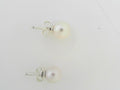 PANDORA EARRINGS