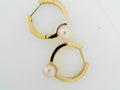 PANDORA EARRINGS