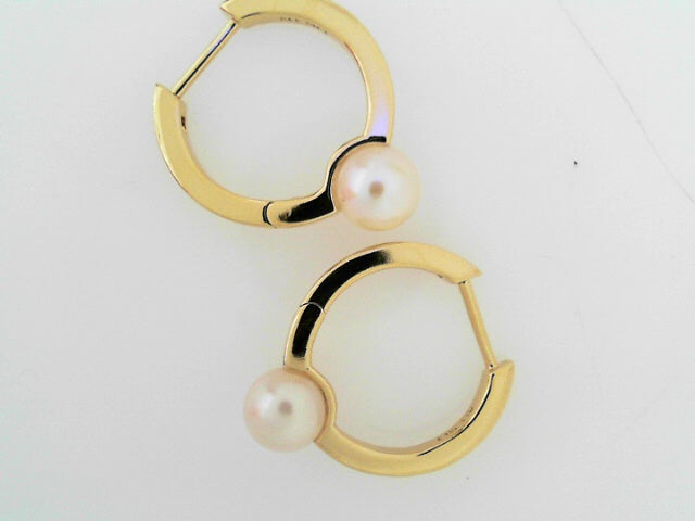 PANDORA EARRINGS