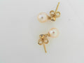 PANDORA EARRINGS