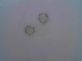 PANDORA EARRINGS