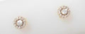 PANDORA EARRINGS