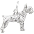 SCHNAUZER