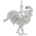 ROOSTER