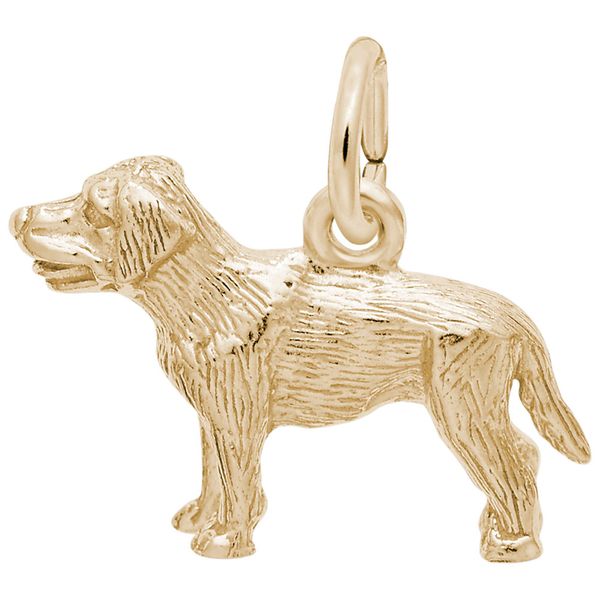 LABRADOR
