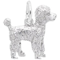 POODLE