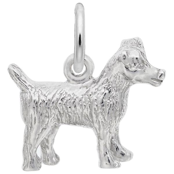 JACK RUSSELL TERRIER