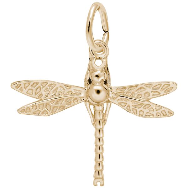 DRAGONFLY