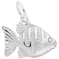 ANGELFISH
