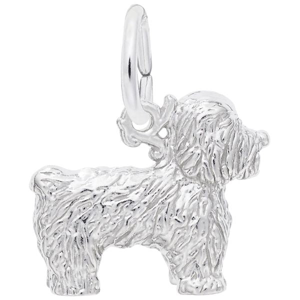 BICHON FRISE