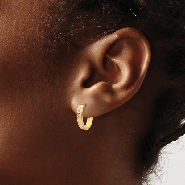 Leslie's 10K Two-tone with White Rhodium Polished and Satin D/C Earrings - Image 3